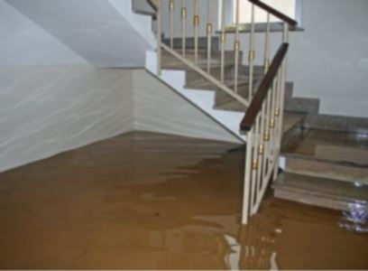 Emergency water removal in Golden Isles by DMS Restoration Services of South Florida, Inc