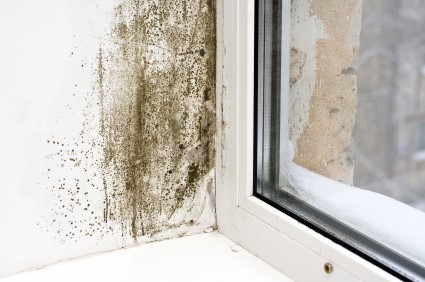 Mold Removal in Hialeah Gardens by DMS Restoration Services of South Florida, Inc