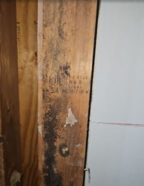 Mold Removal in Margate, FL (4)