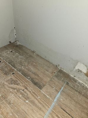 Water Damage Restoration in Sunrise, FL (4)