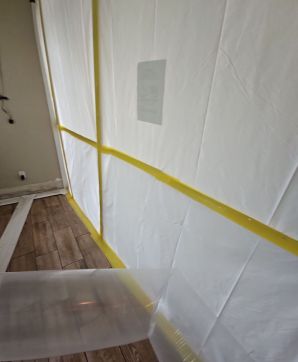 Mold Remediation in Hollywood, FL (1)