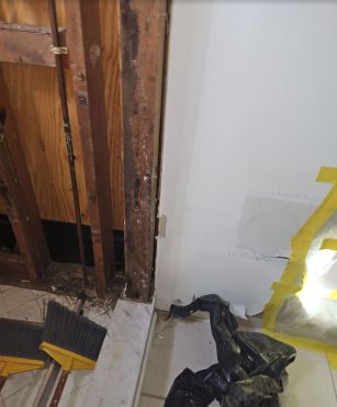 Mold Removal in Margate, FL (3)