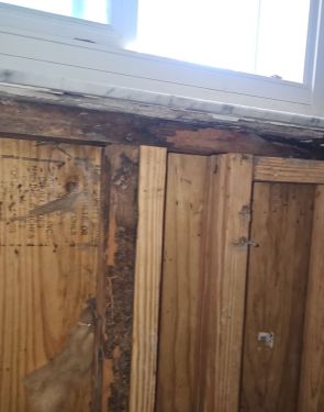 Mold Removal in Margate, FL (1)